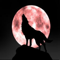 选择困难助手app