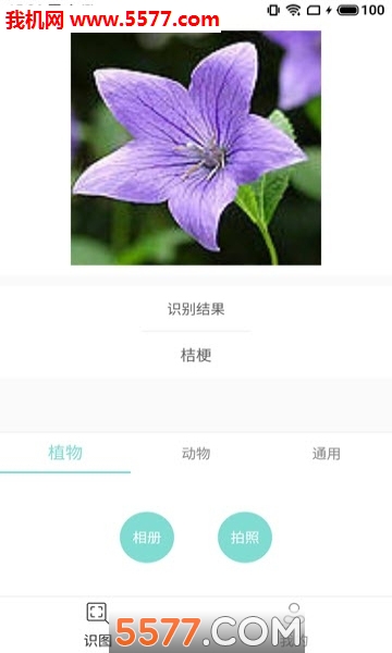 老马识图手机版的图册