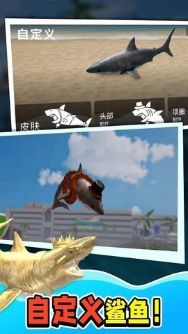 鲨鱼大猎杀中文版的图册