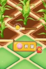 飘香玉米田红包版的图册