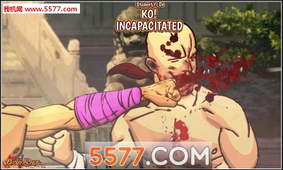 武术暴行官方版的图册