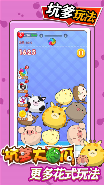 坑爹大西瓜的图册