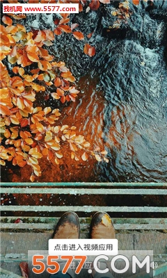 熊猫锁屏组件安卓版的图册