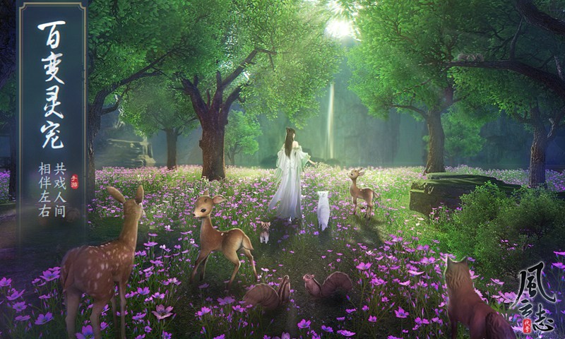 代号:风云志的图册