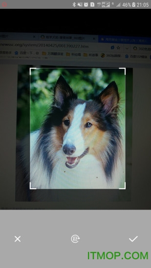 万能拍照识别破解版去广告的图册