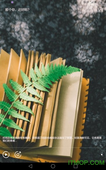 千城(写作软件)的图册