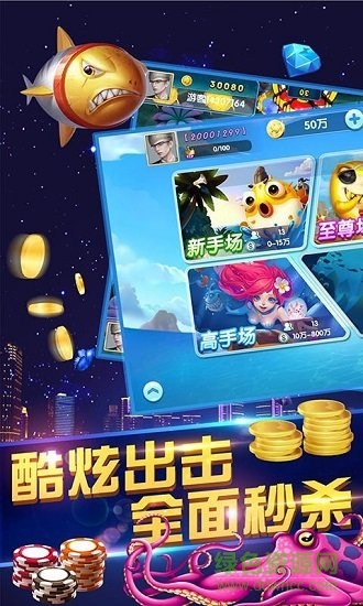 鱼丸游戏老版本的图册