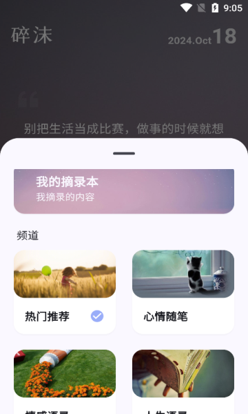 碎沫安卓版的图册