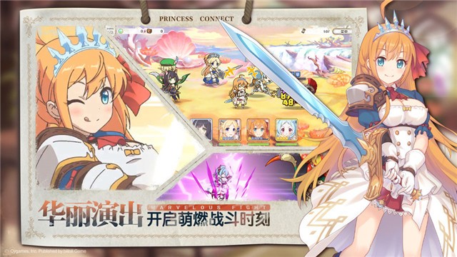 公主连结ReDive半周年庆典的图册