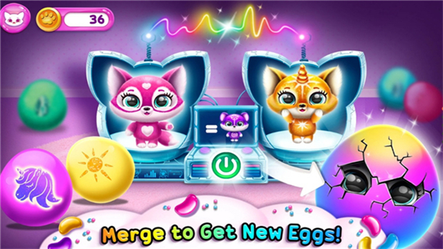 菲露茜斯宠物猫的图册