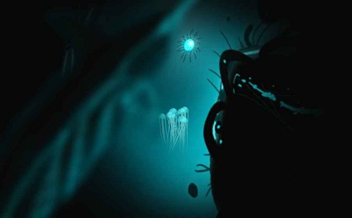 生命之潮的图册