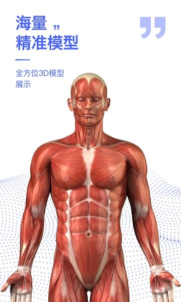 3d人体解剖学图集免费版的图册