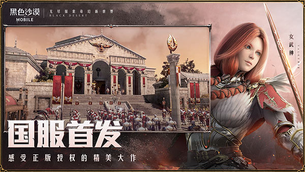 黑色沙漠日服的图册