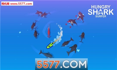 冲浪者鲨鱼躲避手机版的图册