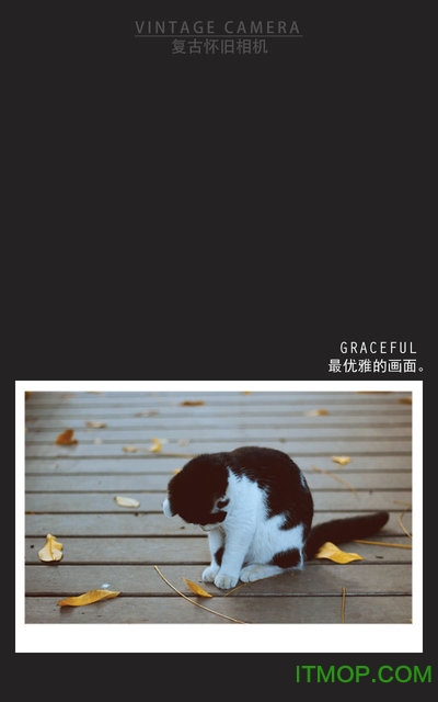 复古怀旧相机app的图册