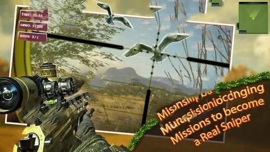 猎鸟猎人的图册