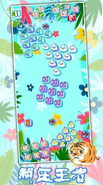 生肖万花筒官方版的图册