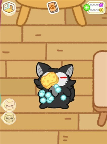 小偷猫猫的图册