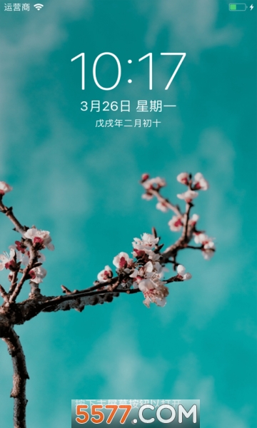 调调壁纸安卓版的图册