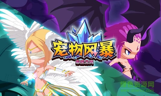 宠物风暴希望之光的图册