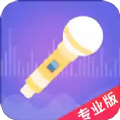 语聊音频变声器官方版
