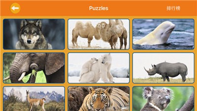 动物经典派舞会的图册