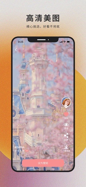 萌猫桌面壁纸的图册