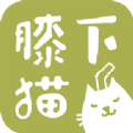 膝下猫安卓版(猫咪社区)