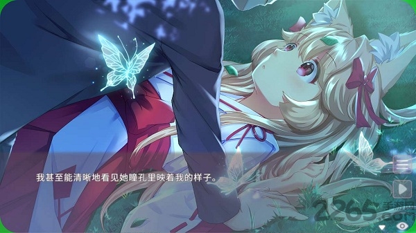 狐之恋单机游戏(foxhimezero)的图册