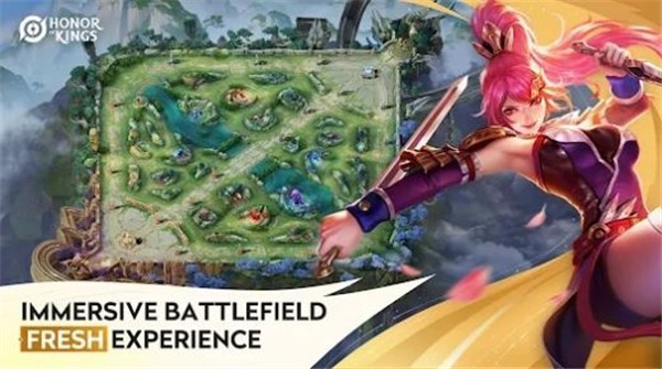 王者荣耀全球国际服云游戏的图册