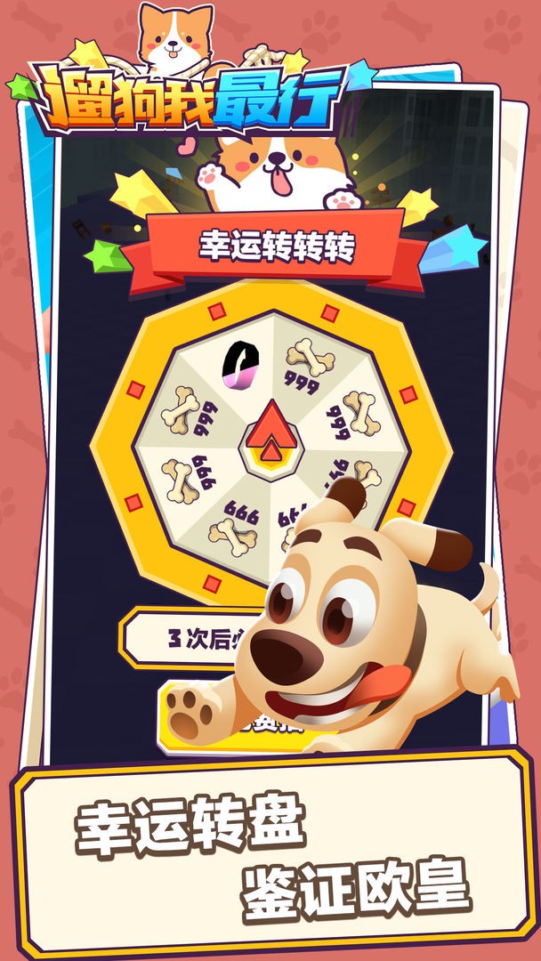 遛狗我最行的图册