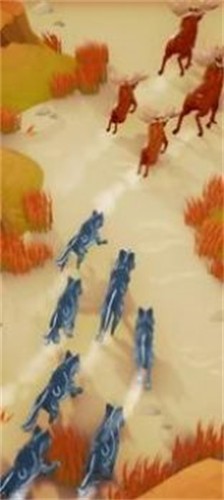 野生狼群的图册