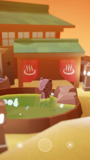 亲爱的猫咪的图册