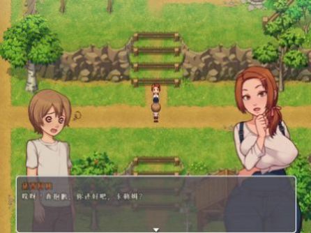 我的乡村日常生活汉化版的图册