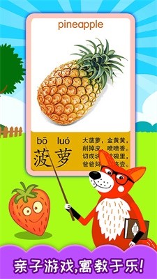 宝宝蔬菜水果认知的图册