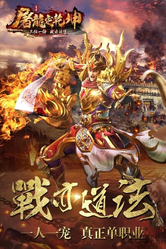 屠龙定乾坤手游九游版的图册