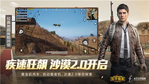 和平精英国际服的图册