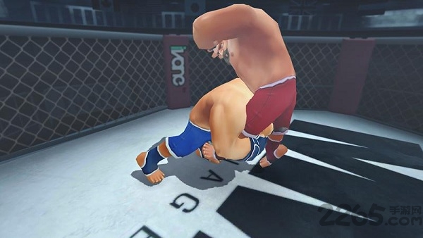 mma经理汉化版的图册