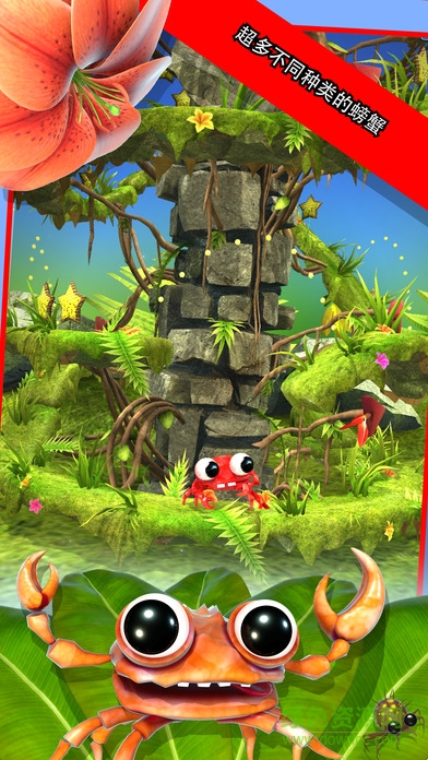 螃蟹先生安卓的图册