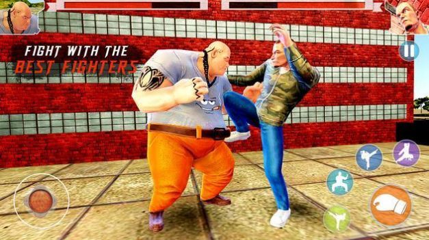 胖子摔跤超级格斗的图册