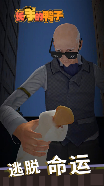 长手的鸭子最新版的图册