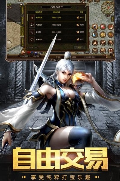 十二职业传奇游戏的图册