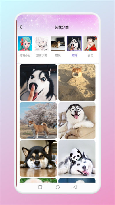 微微找图货手机版的图册