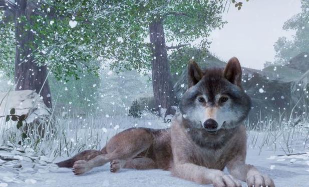 动物园之星免费正版的图册