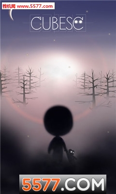 Cubesc手游的图册
