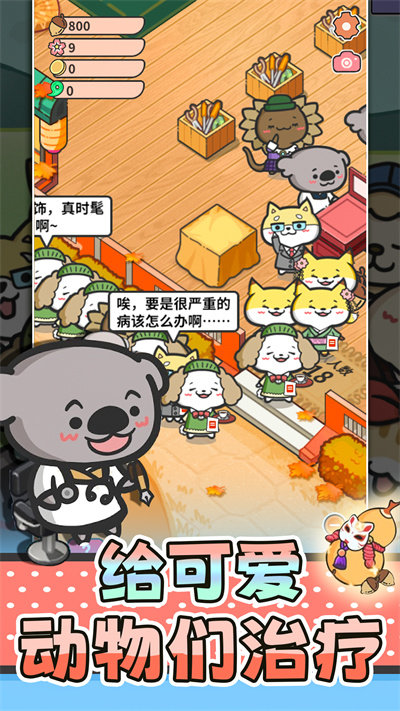 猫舍与动物之友游戏的图册