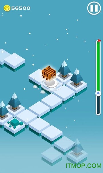 动物也疯狂游戏的图册