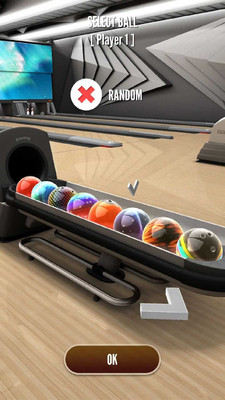 3D保龄球冠军赛(3DBowlingChampionPlus)的图册