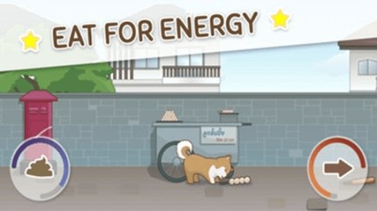 哈士奇的尾巴最新版的图册