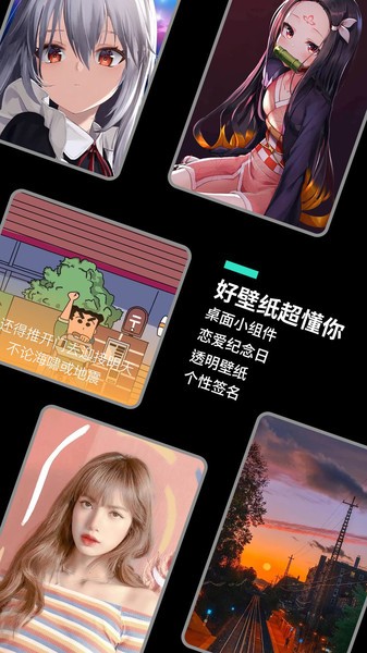 主题桌面大全app的图册